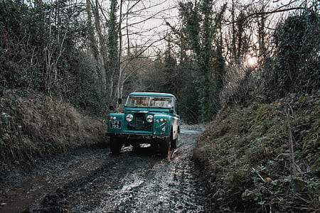 teal SUV on forest thumbnail
