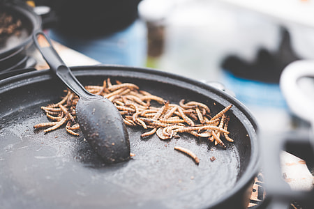 Fried Caterpillars Traditional Exotic Asian Food thumbnail