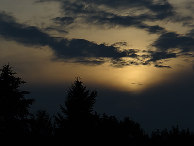 silhouette of trees under cloudy skies golden hour photography thumbnail
