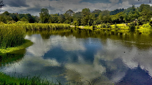 body of water beside field of plants thumbnail