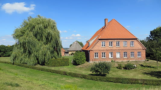 Brown Concrete House Besides Tree Under Blue Sky and White Clouds thumbnail