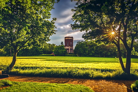 pathway near green grasses thumbnail