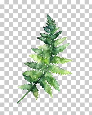 Paper Watercolor painting Fern Printing, Green leaves, green leaf decor PNG clipart