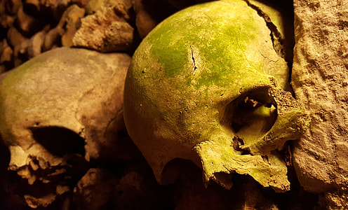 two human skulls thumbnail