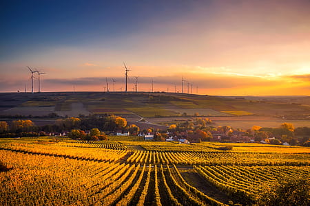 Scenic View of Agricultural Field Against Sky during Sunset thumbnail