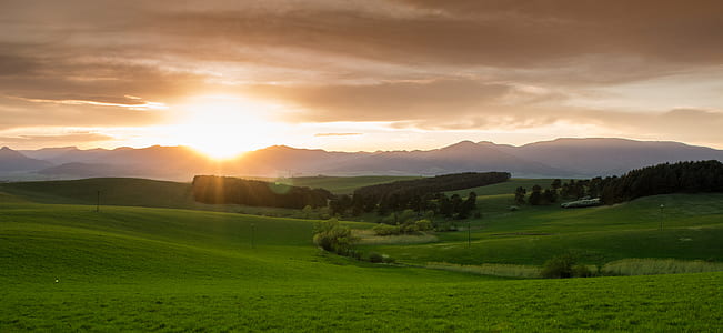 Green Grass Field during Sunset thumbnail