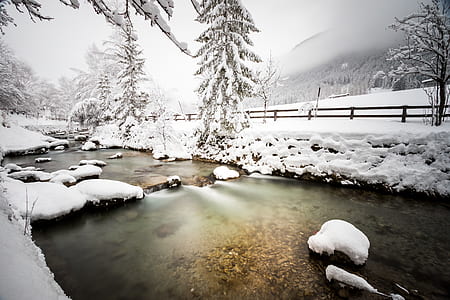 snow covered grasses beside water stream thumbnail