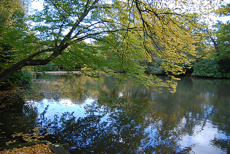 body of water under green leafed tree thumbnail