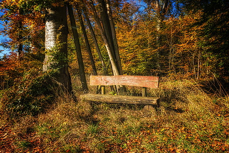 brown wooden bench thumbnail