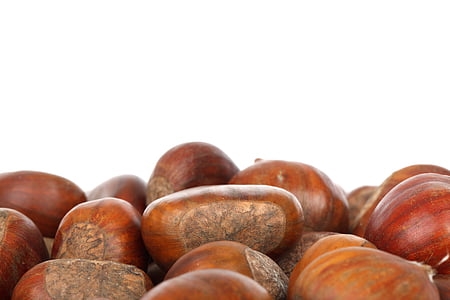 pile of red seeds thumbnail