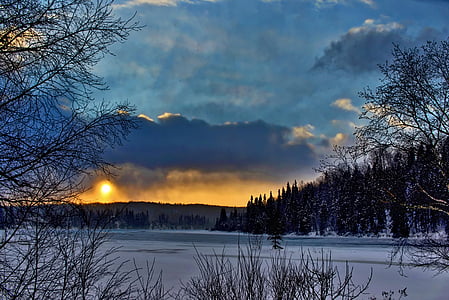 bare trees and mountains during sunrise thumbnail