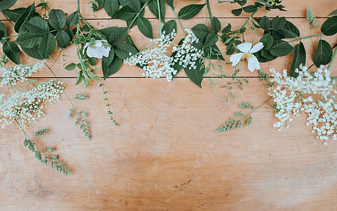 Floral desktop thumbnail