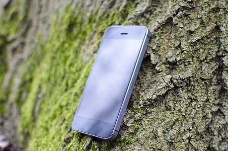 iphone, smartphone, moss, technology thumbnail
