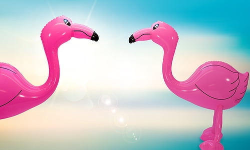 two flamingo balloon screenshot thumbnail