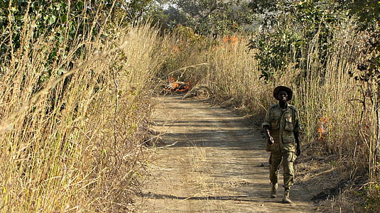 selective focus photography of man walking on dirt road between grass during daytime thumbnail