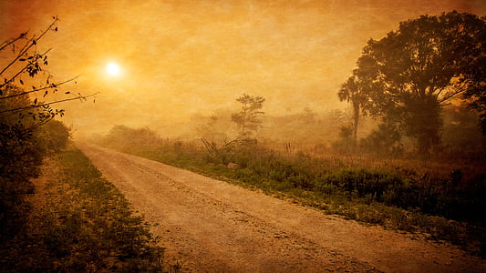 gray road between green grass field during sunset thumbnail