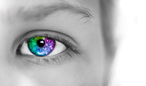 selective color photography of green, purple, and pink eye thumbnail