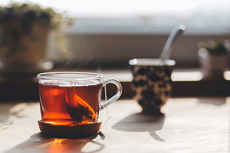 clear glass teacup on top of table thumbnail