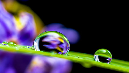 Close-up Photo of Dewdrops on Green Leaf thumbnail