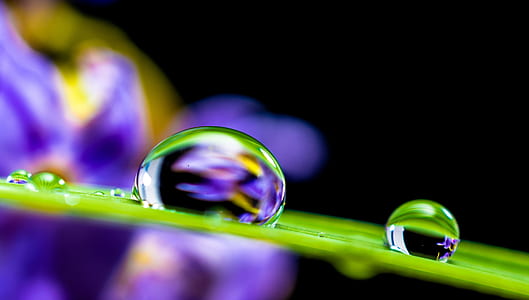 micro photography of liquid on leaf thumbnail