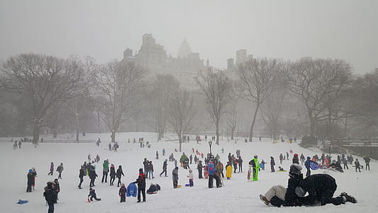 people walking on snow covered ground near bare trees with fog thumbnail