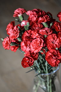 red petaled flower on clear glass base thumbnail