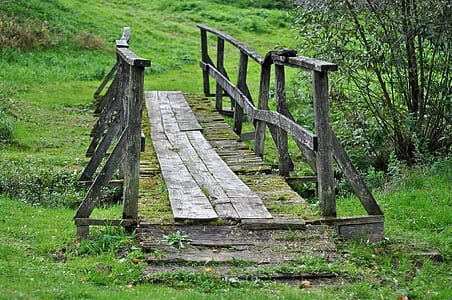 gray wooden bridge covered with moss during daytime thumbnail