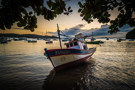 sailing boat near forest thumbnail