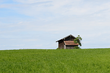 house surrounded by green grass under cloudy sky during daytime thumbnail