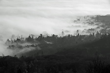 aerial photography of mountain covered with fog thumbnail
