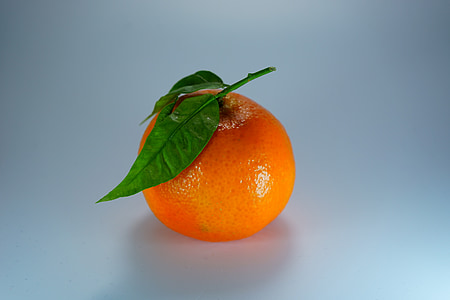 orange fruit thumbnail