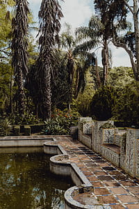 Tropical Botanical Garden in Belem, Lisbon, Portugal thumbnail