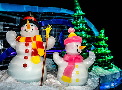 Ice Exhibit, Gaylord Palms thumbnail