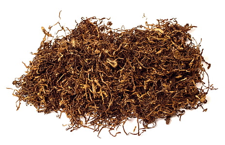 dried plant with white background thumbnail