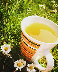 yellow liquid in mug placed on green grass thumbnail