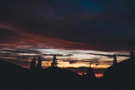photo of trees and mountain during golden hour thumbnail