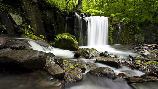 waterfalls in the middle of forest during daytime thumbnail