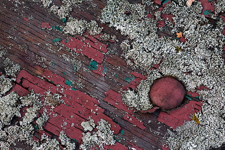 background, wood, old paint, texture, board, weave thumbnail