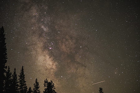 Milky Way Galaxy during night time thumbnail
