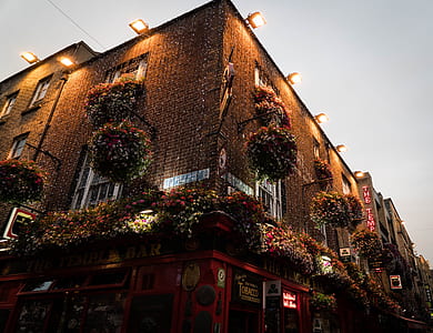 brown brick building with flowers thumbnail