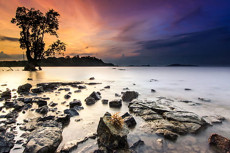 body of water at daytime thumbnail