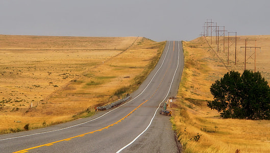 road between brown grass thumbnail