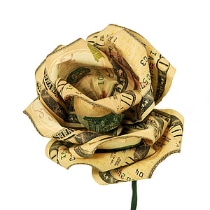U.S. dollar rose flower thumbnail