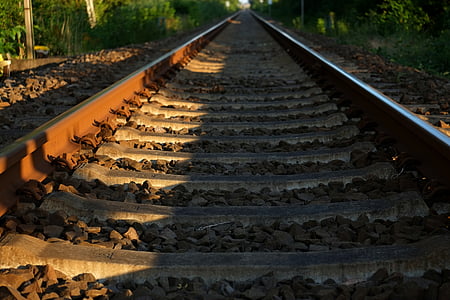 person taking photo of train tracks thumbnail
