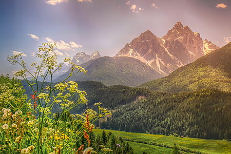 landscape photography of green mountains thumbnail