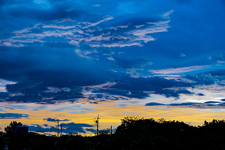 silhouette of trees under blue skies thumbnail