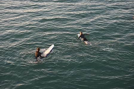 Photo of Two Person Swimming thumbnail