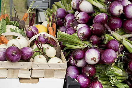 close up photo of onion  lot thumbnail