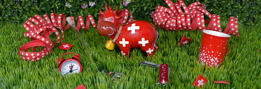 red-and-white Christmas-themed decorations on grass thumbnail