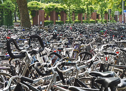 assorted-color bike parked near green leaf trees at daytime thumbnail